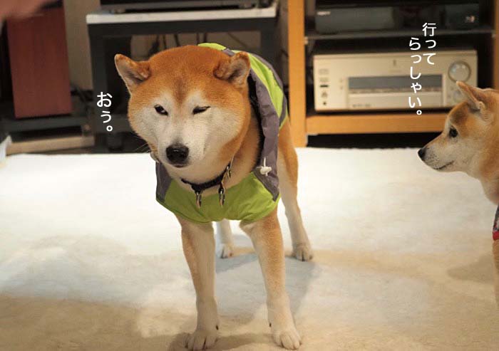 19日ブログ４