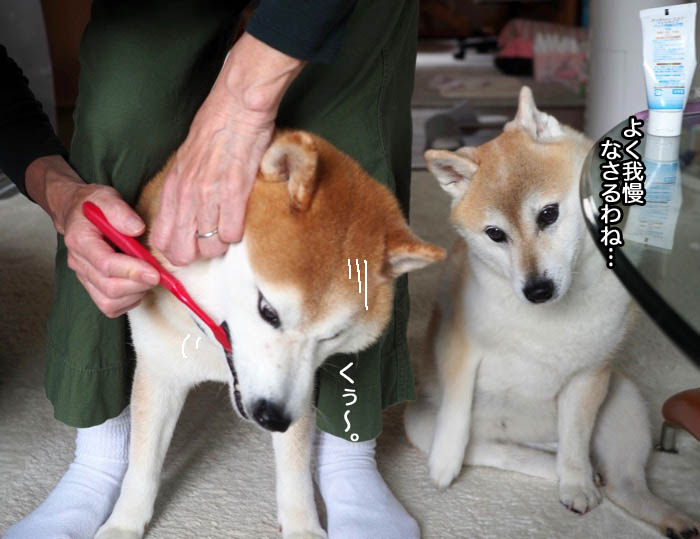 19日夜ブログ３