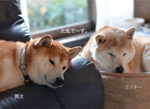 29日ブログ7.jpg
