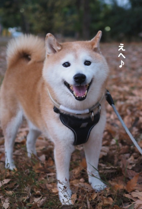 10日ブログ３