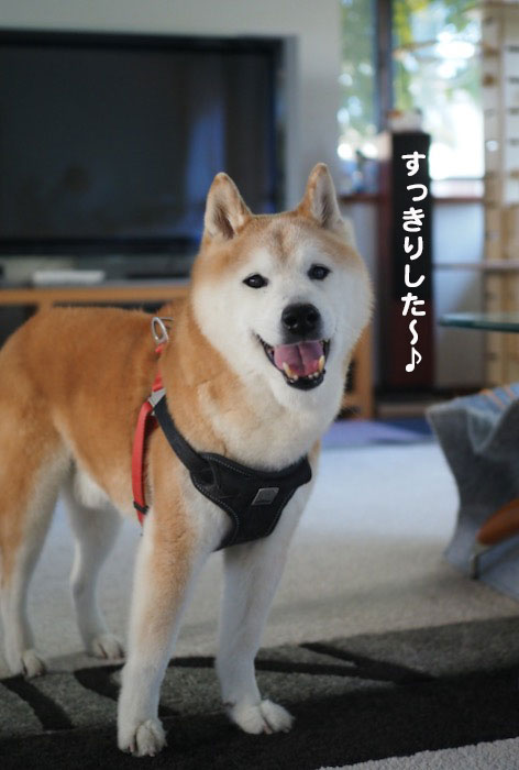 14日夜ブログ２