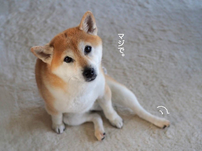 5日ブログ５