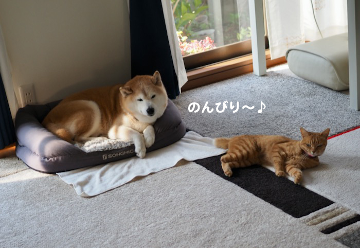 14日朝ブログ2