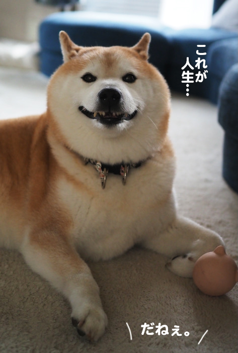 10日ブログ４
