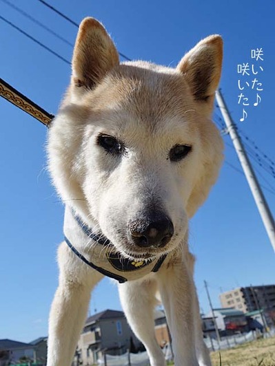 17ブログ3