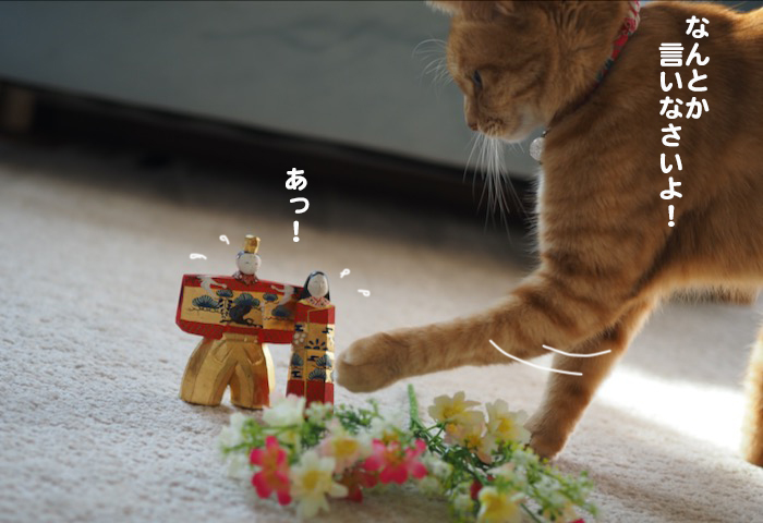 3日ブログ５