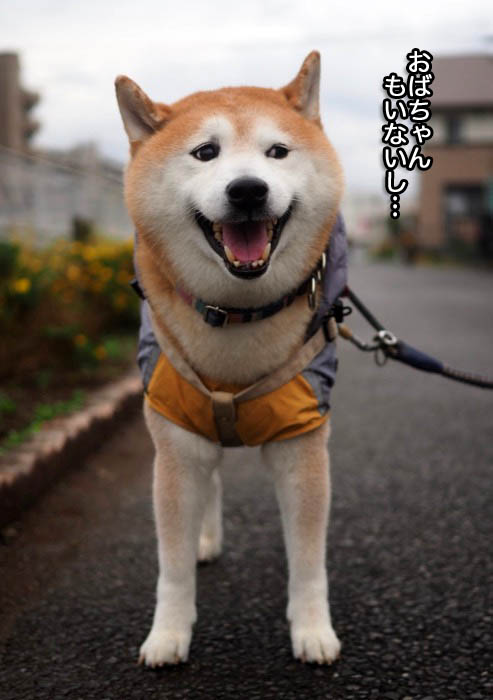 17日夕ブログ７