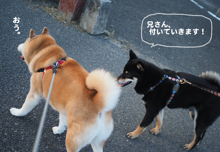 8日夕ブログ３