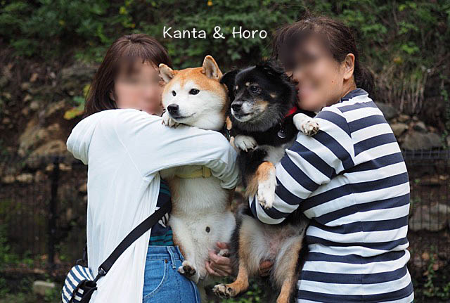 19日ブログ3