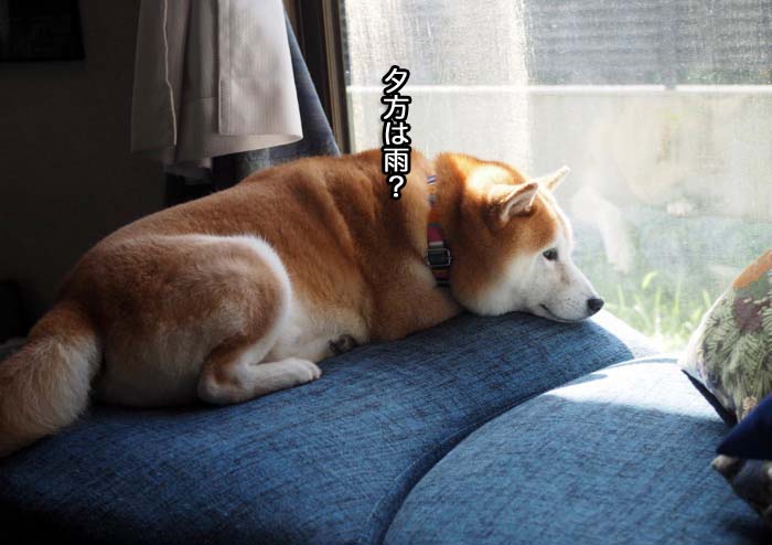 5日ブログ２