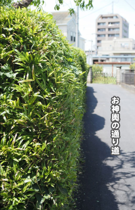 8日夕ブログ3