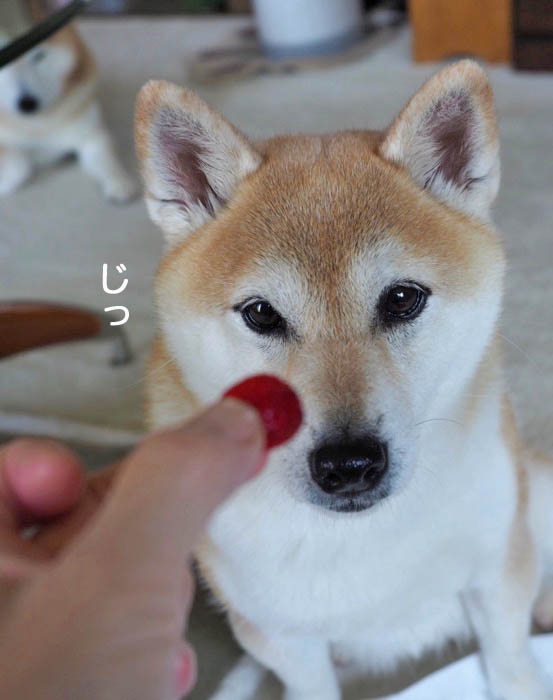 17日夜ブログ５