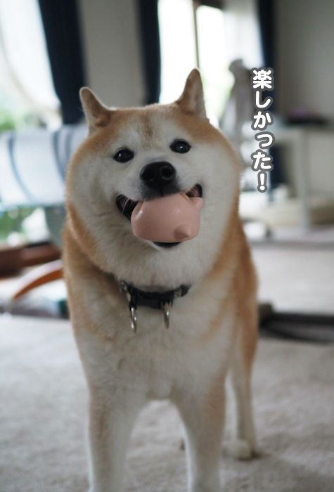 16日夕ブログ９