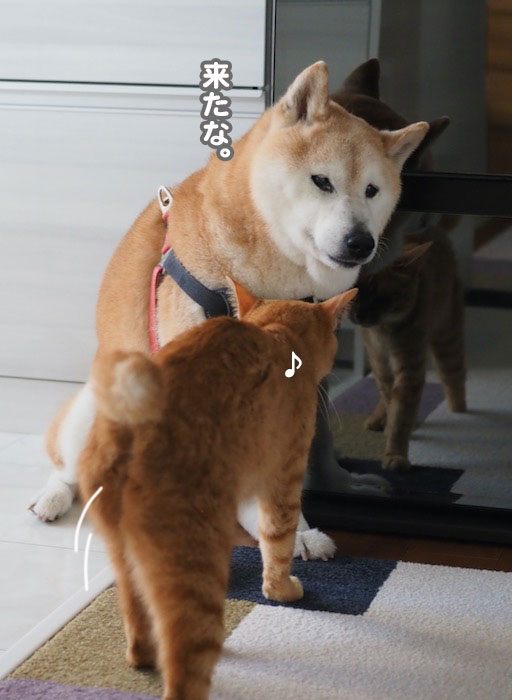26日夕ブログ4