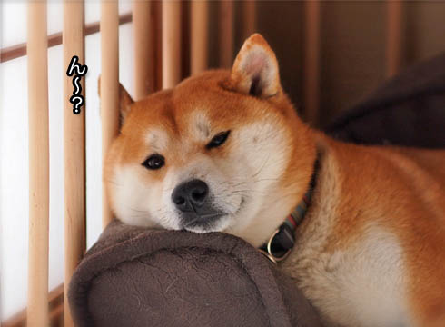 14日ブログ5.jpg