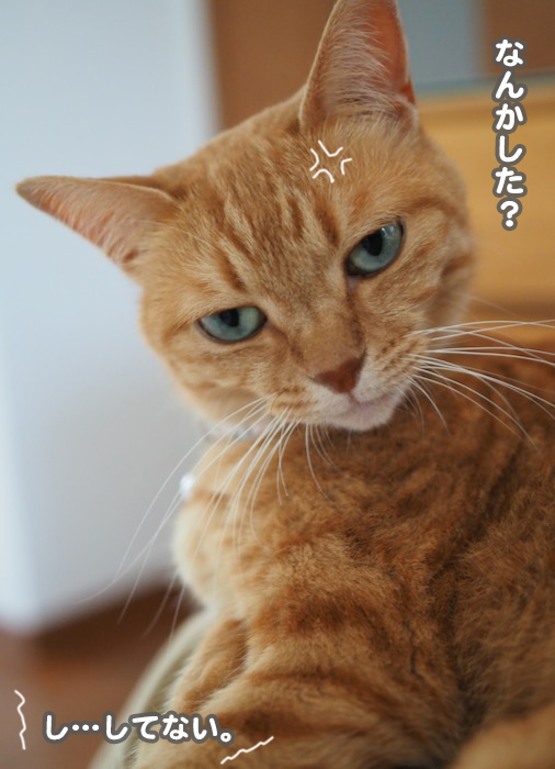 7日夕ブログ７