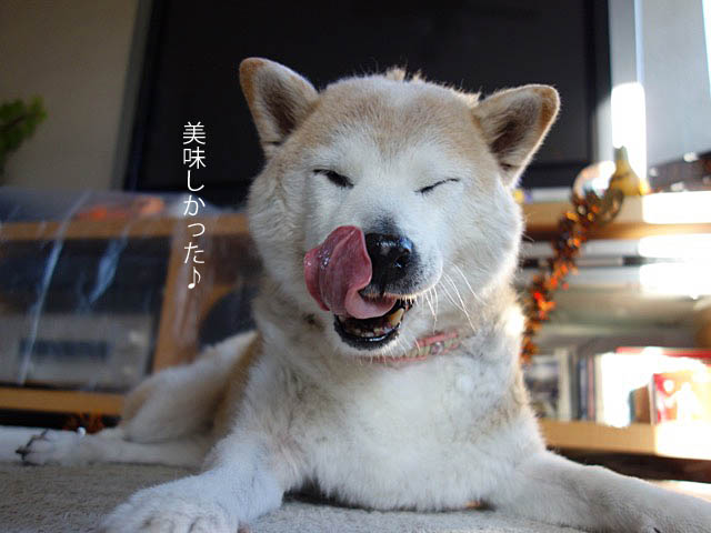 24日ブログ11