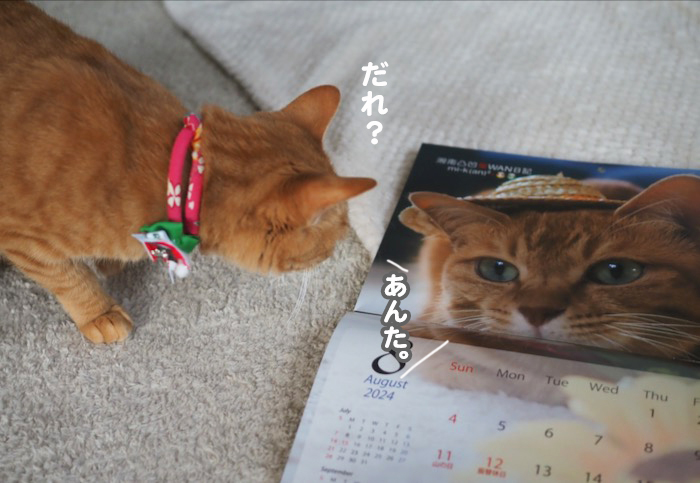 20日夕ブログ６
