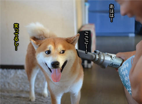 29日ブログ10.jpg