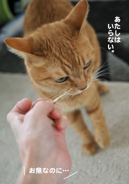 15日ブログ７