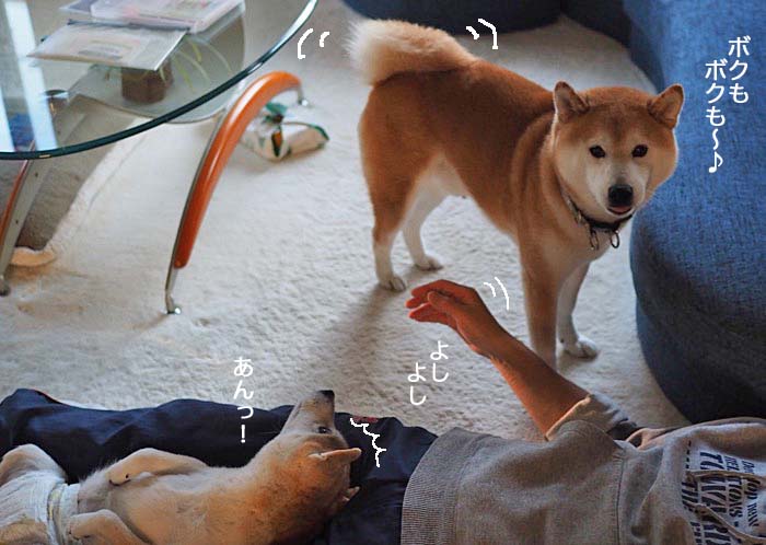 28日午前ブログ２