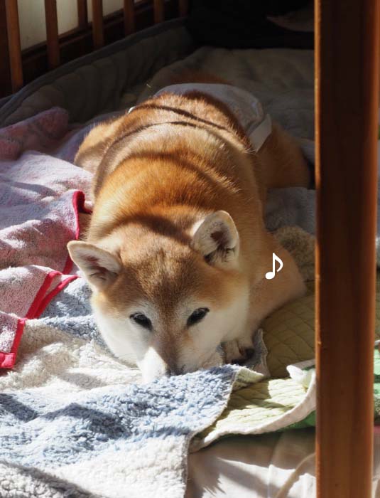 16日ブログ２