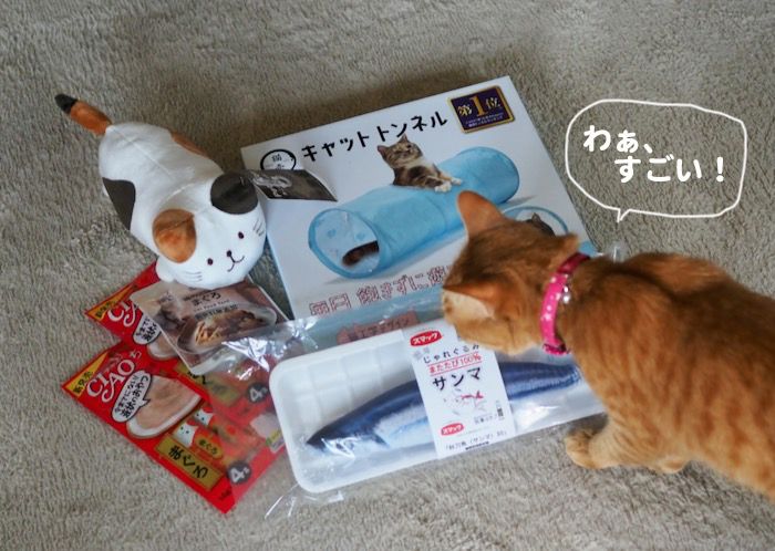 7日夕ブログ３