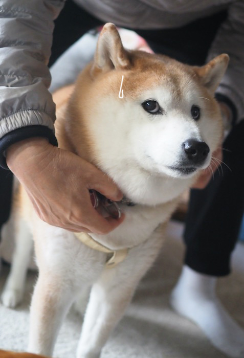 7日夕ブログ４