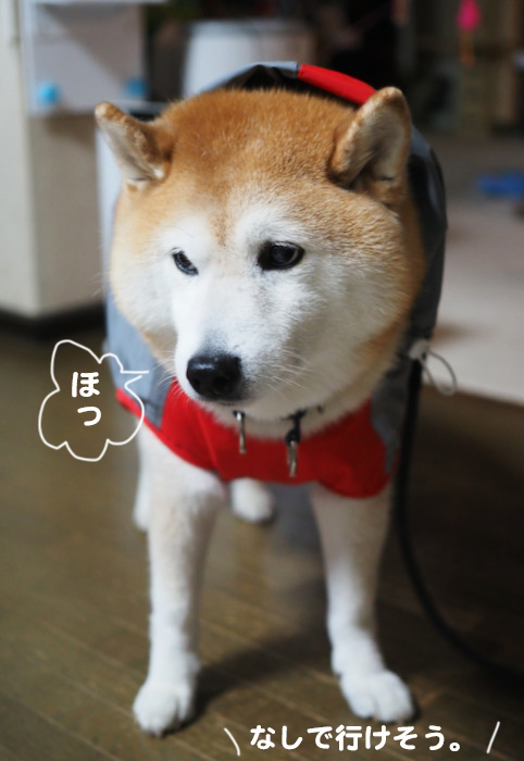 26日夜ブログ５