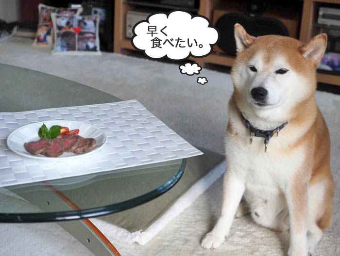 26日夕ブログ５