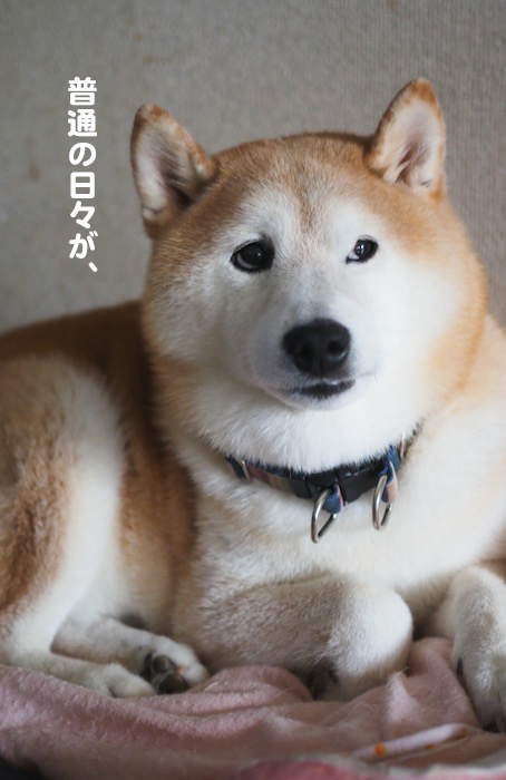 14日夕ブログ４