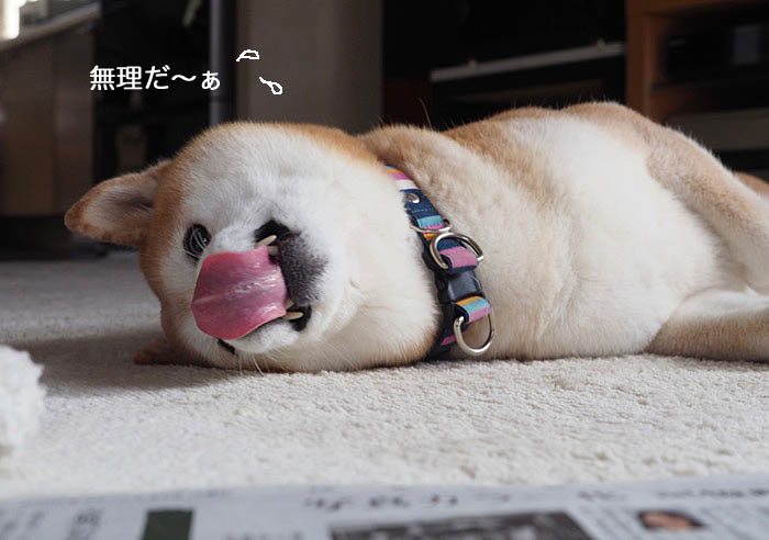 9日ブログ３