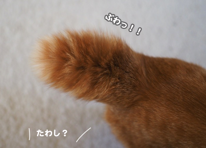 10日ブログ４