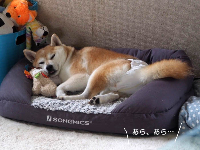 25日夕ブログ2