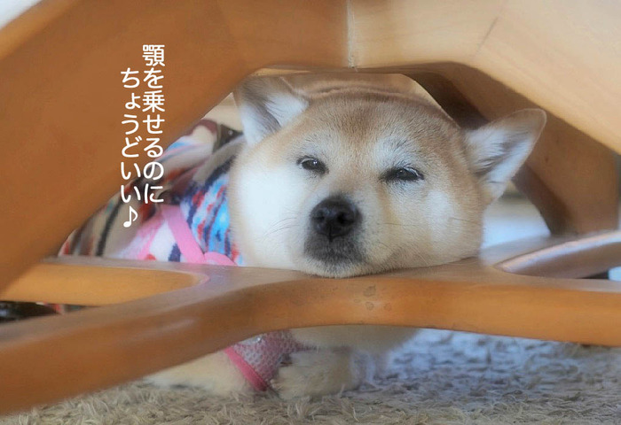 18日夜ブログ5