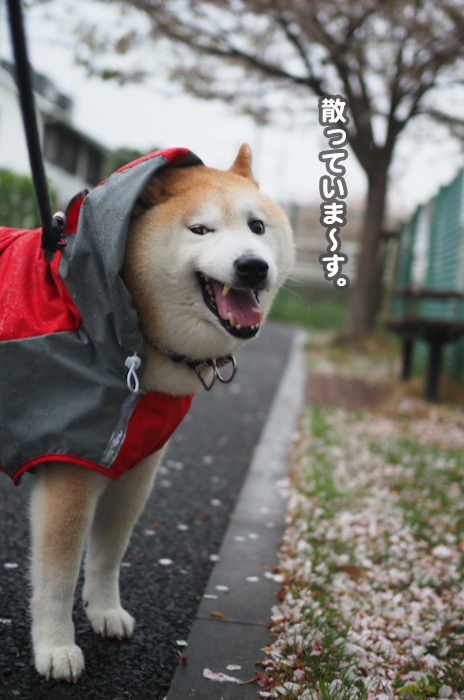 7日夜ブログ５