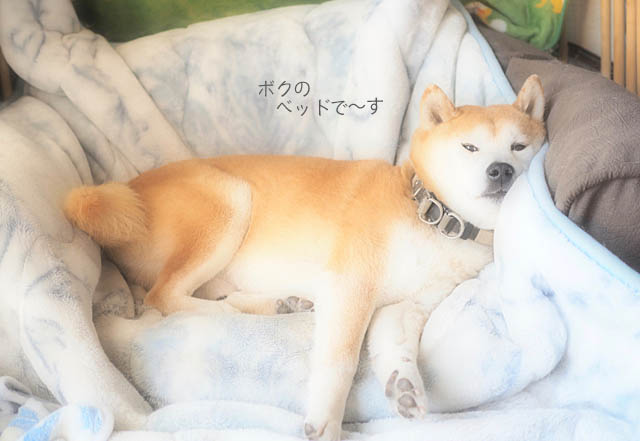 5日ブログ3