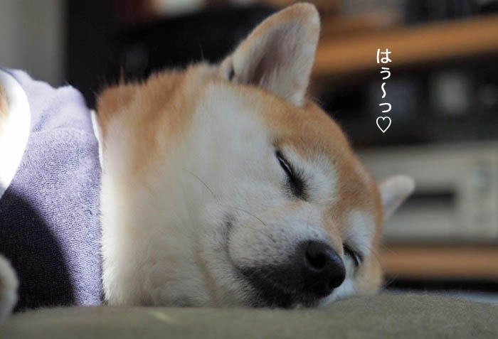 17日夜ブログ６