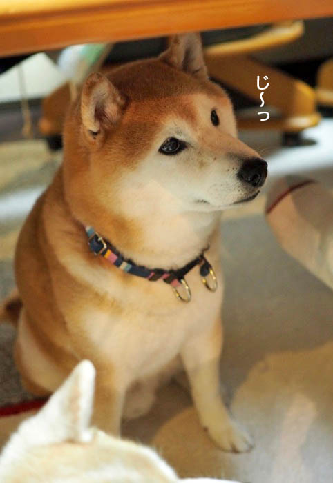 7日夜ブログ４