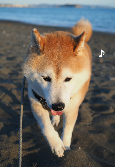 7日夕ブログ4