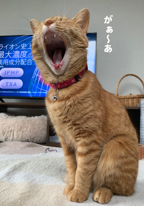 1日午前ブログ２