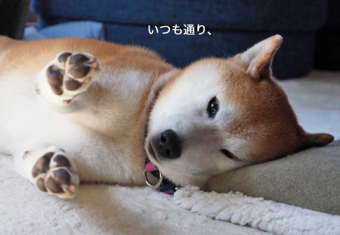 26日ブログ７