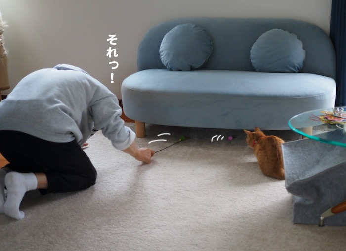9日夕ブログ３