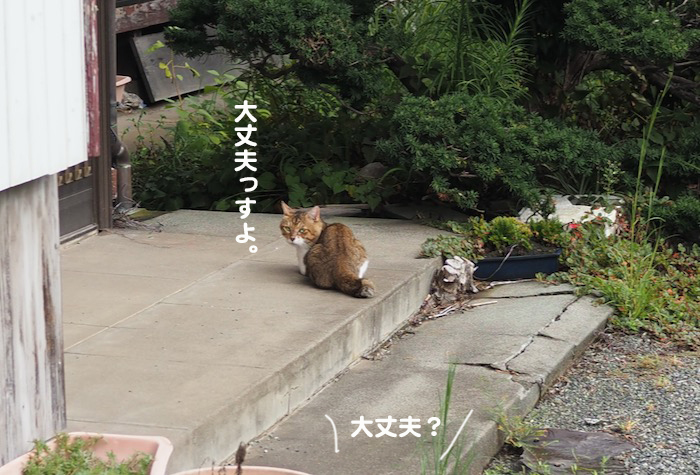 27日夕ブログ６
