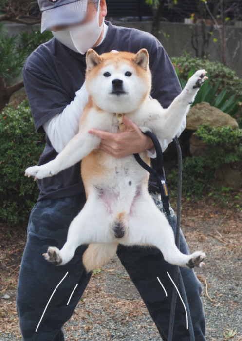 17日夜ブログ８