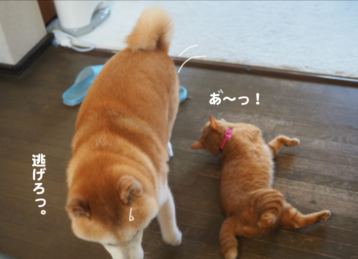 2日夕ブログ８