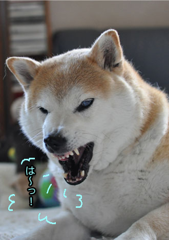 28日ブログ17.jpg