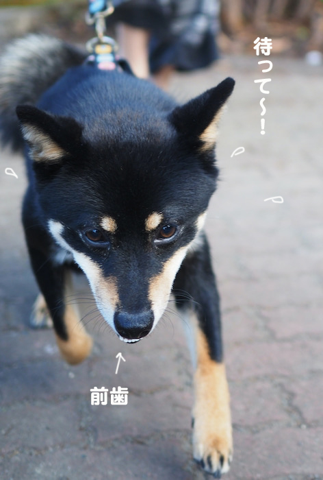 28日夜ブログ6