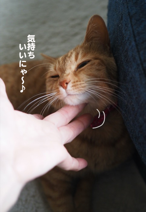 3日夕ブログ５