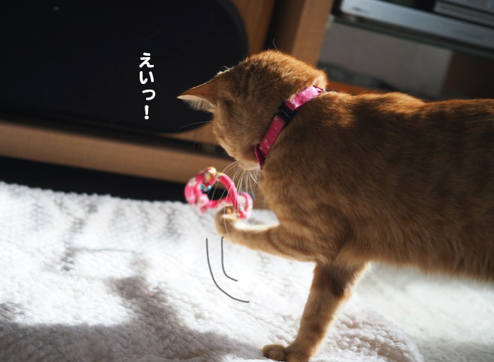 6日ブログ５